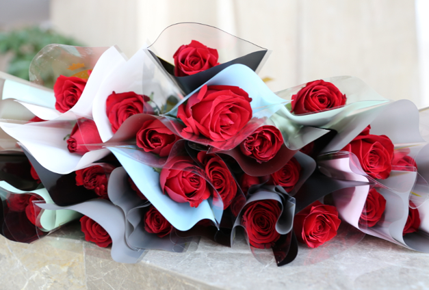 春光十裏 最美昰(shi)你 | 科(ke)信(xin)技(ji)術(shù)祝所有(yǒu)女神們節(jie)日(ri)快樂！